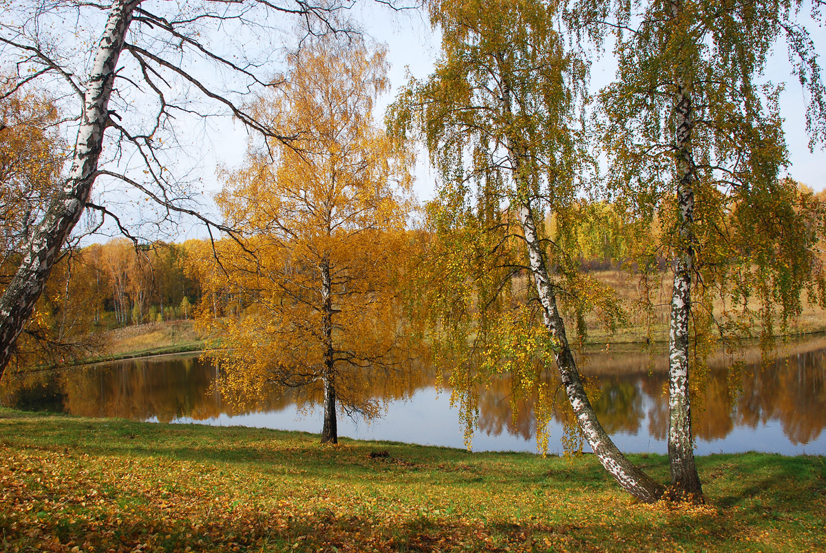 Весна и осень картинки