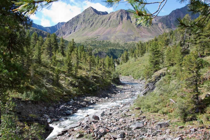 Шумак фото в хорошем качестве