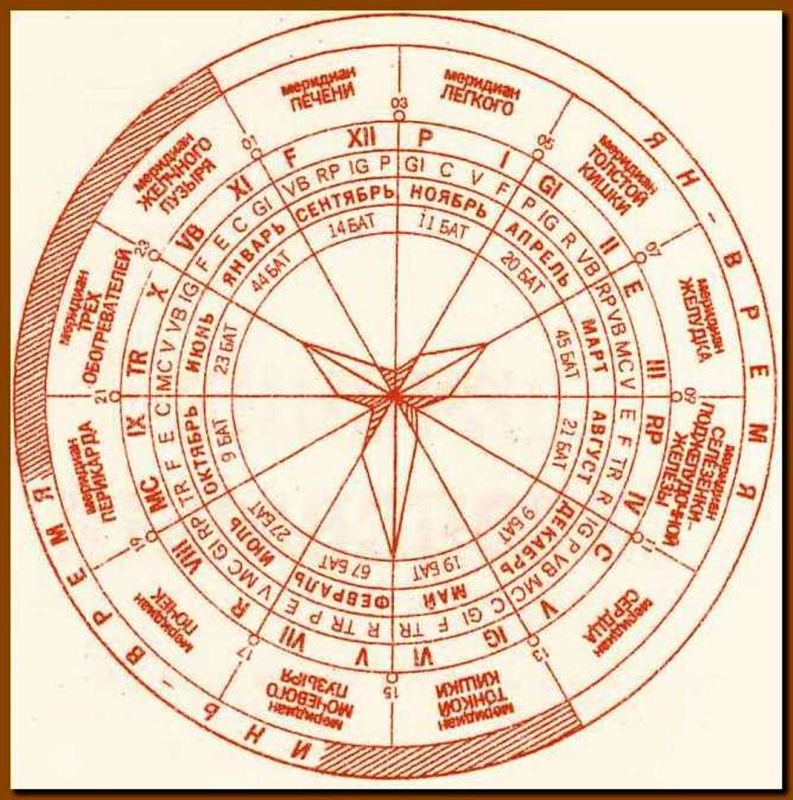 Меридианы человека по часам активности схема и направления