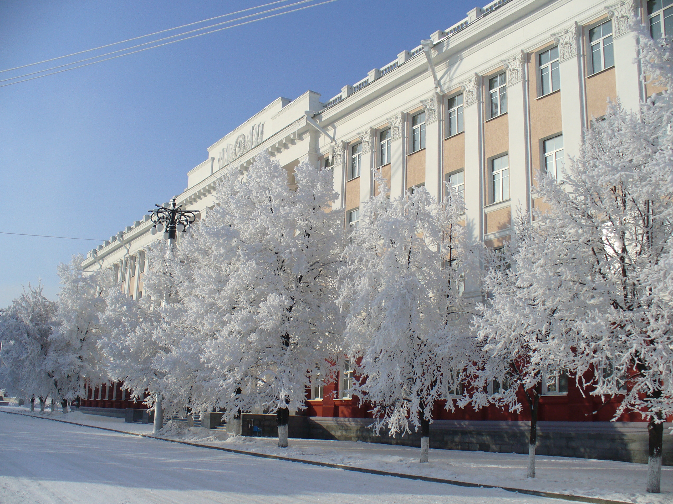 Алтайский сайт. ТУЛГУ зима. Университет зима. Зимний универ. ТОГУ зимой.