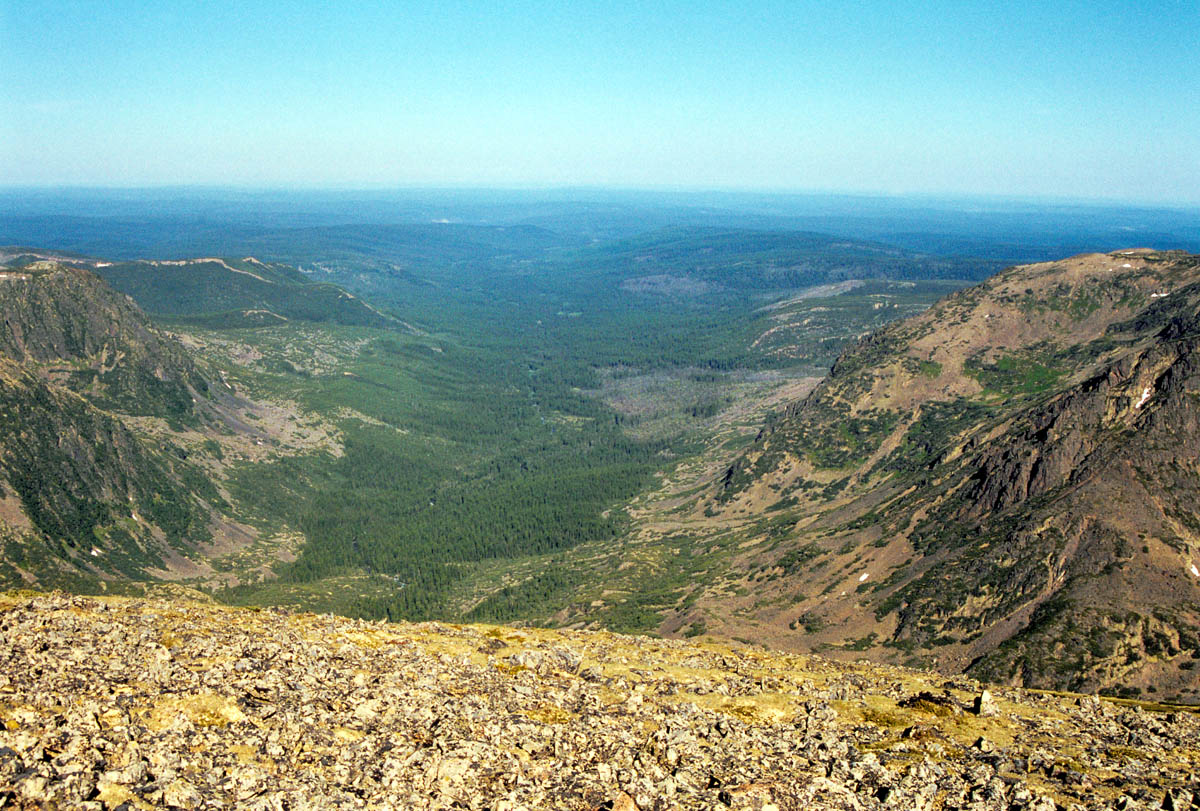 Среднесибирское плоскогорье леса