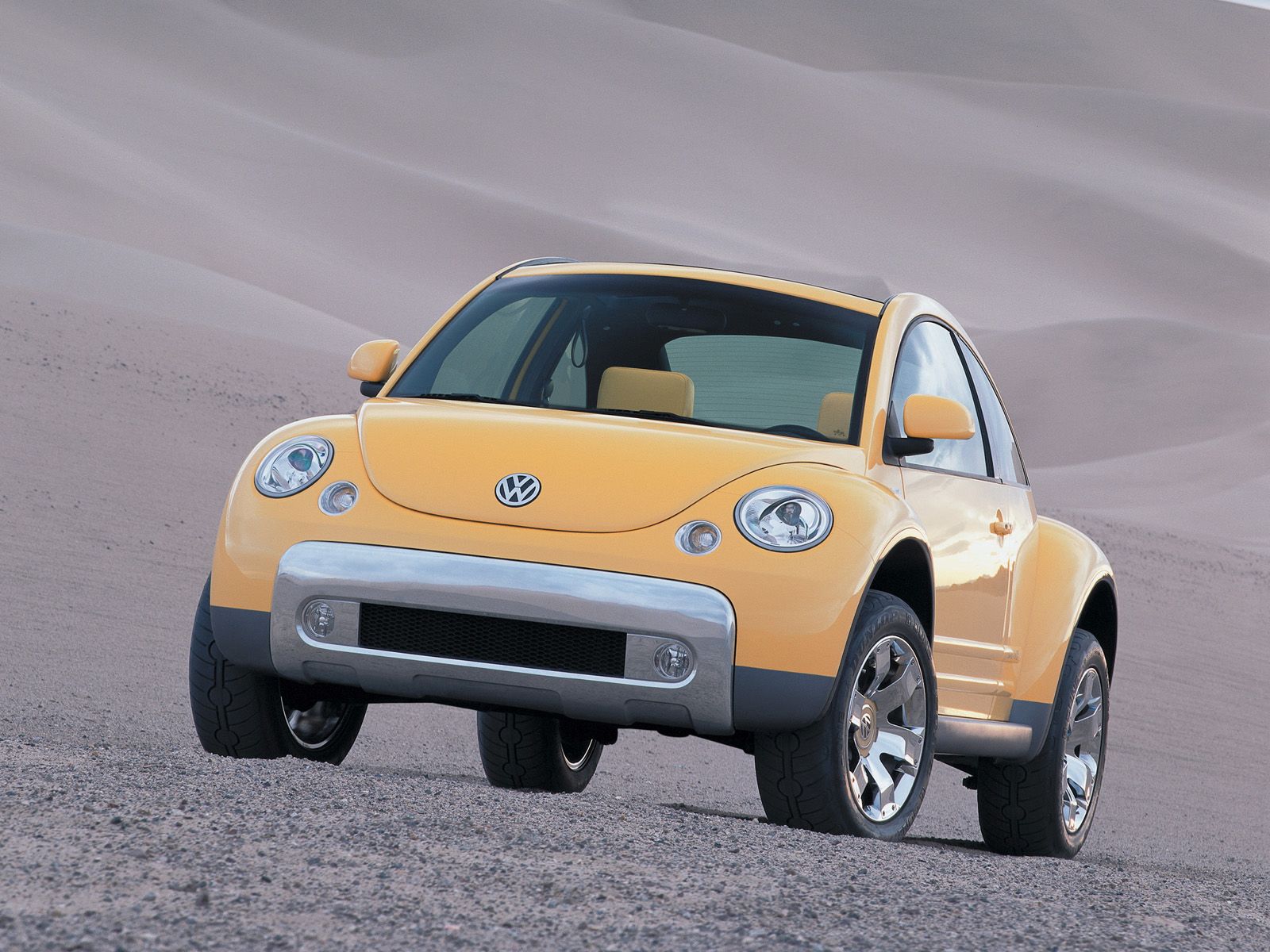 Volkswagen VW New Beetle