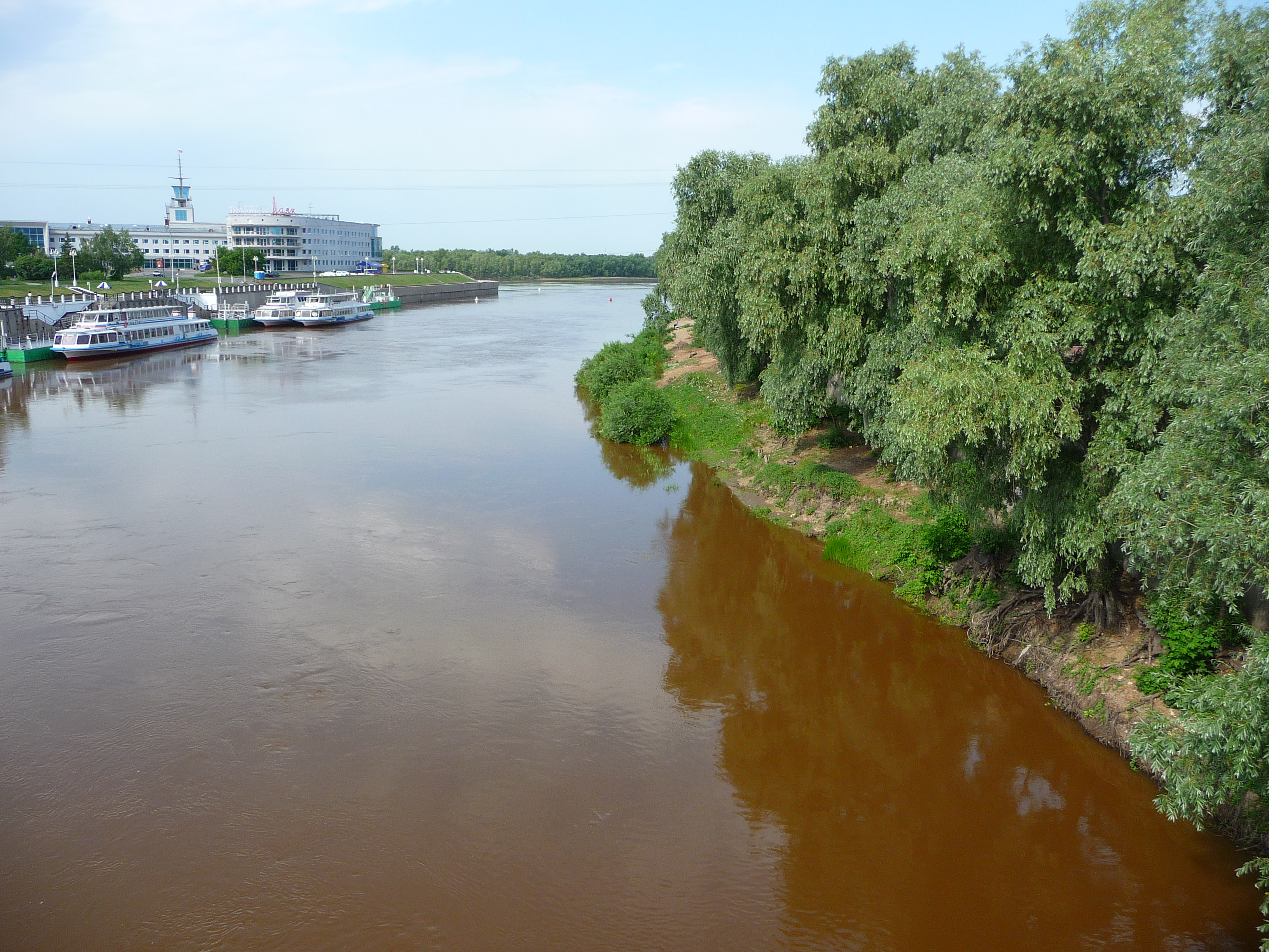 Река в омске. Устье реки Омь. Омь Омск. Омка река в Омске. Река Омь города Калачинска.