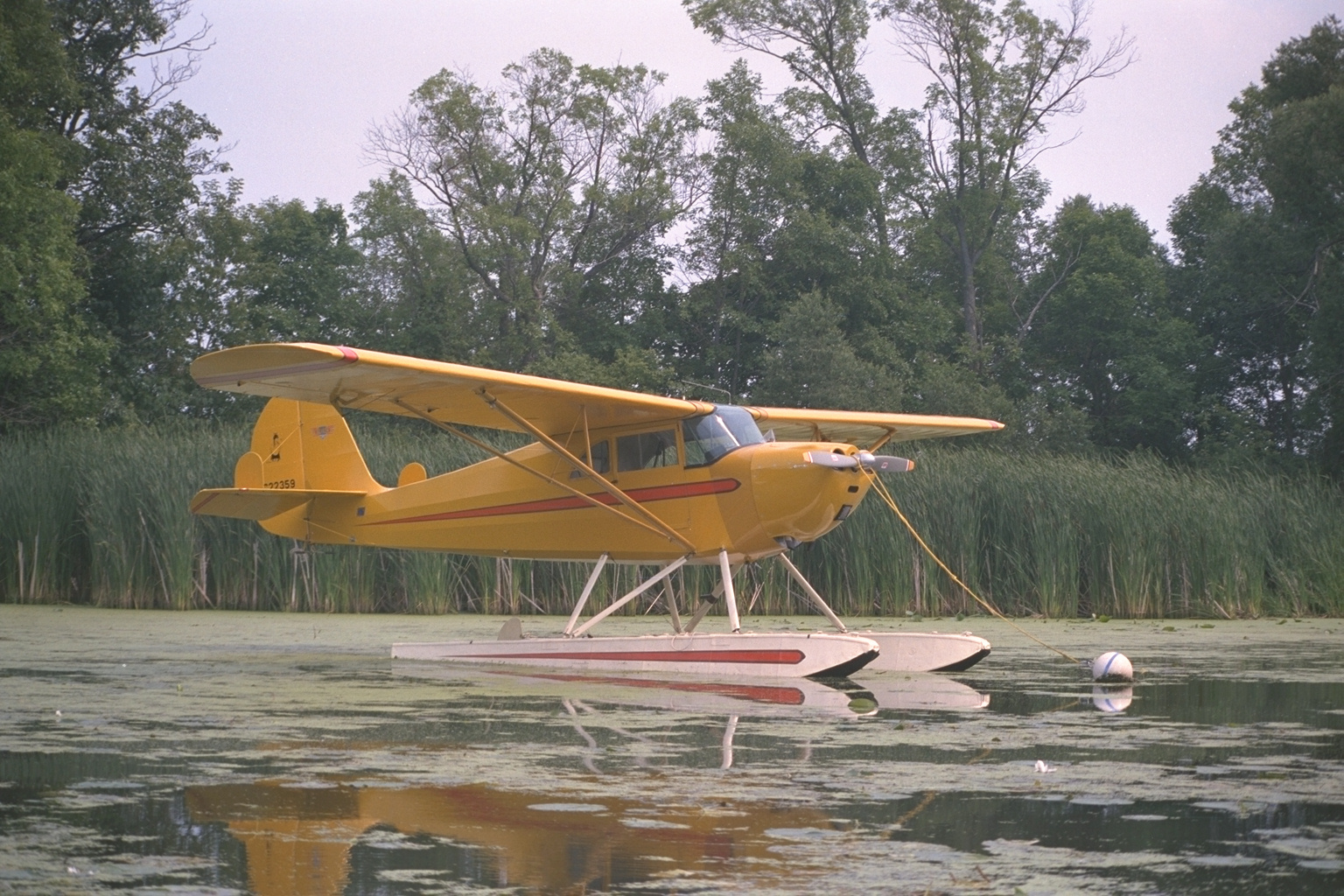 Самолет приземляющийся на воду. Самолет на воде. Самолет который приземляется на воду. Самолёт призелился на воду. Самолет который садится на воду.