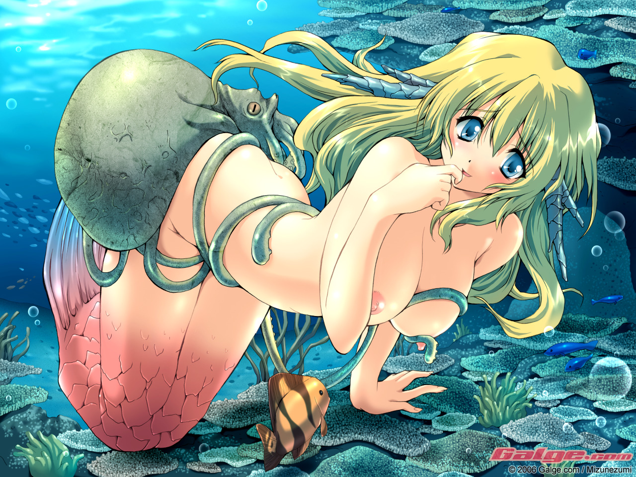 Konachan.com - 40083 - galge.com mermaid nude tagme 112 