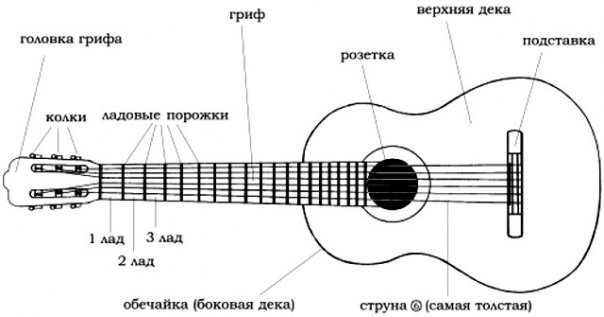 Схема устройства гитары