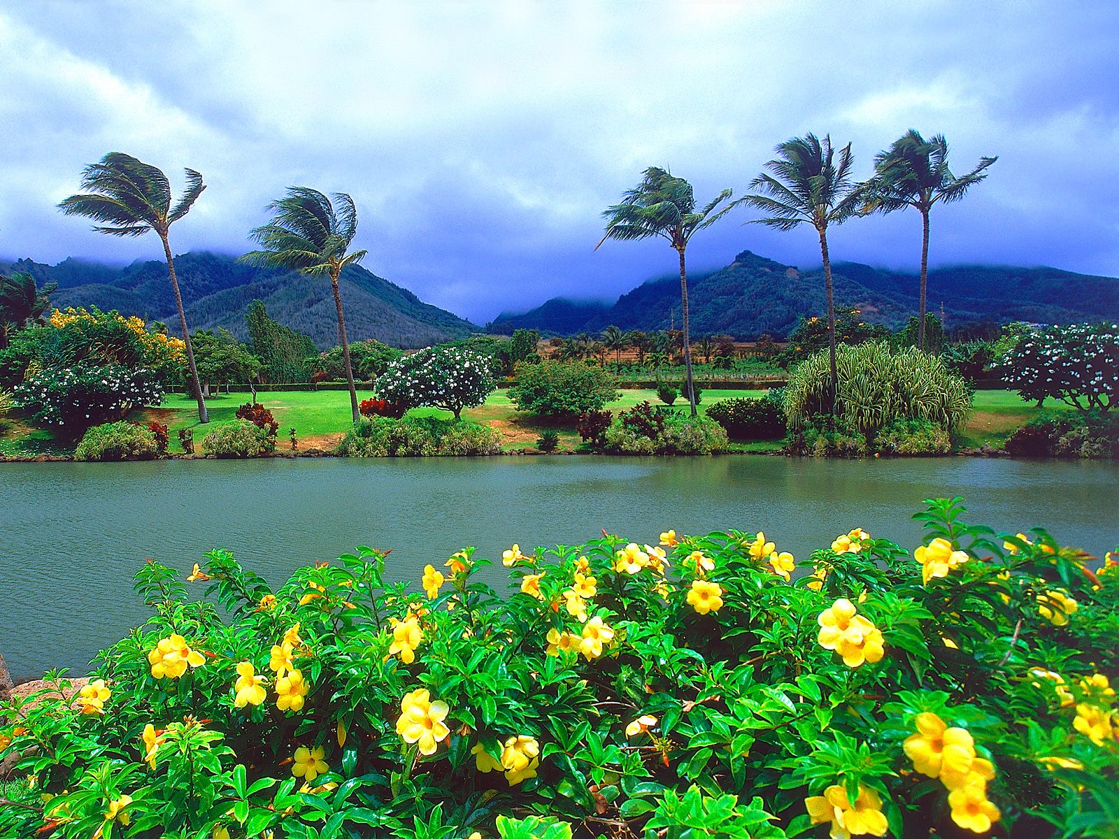 Maui Tropical Plantation, Hawaii.