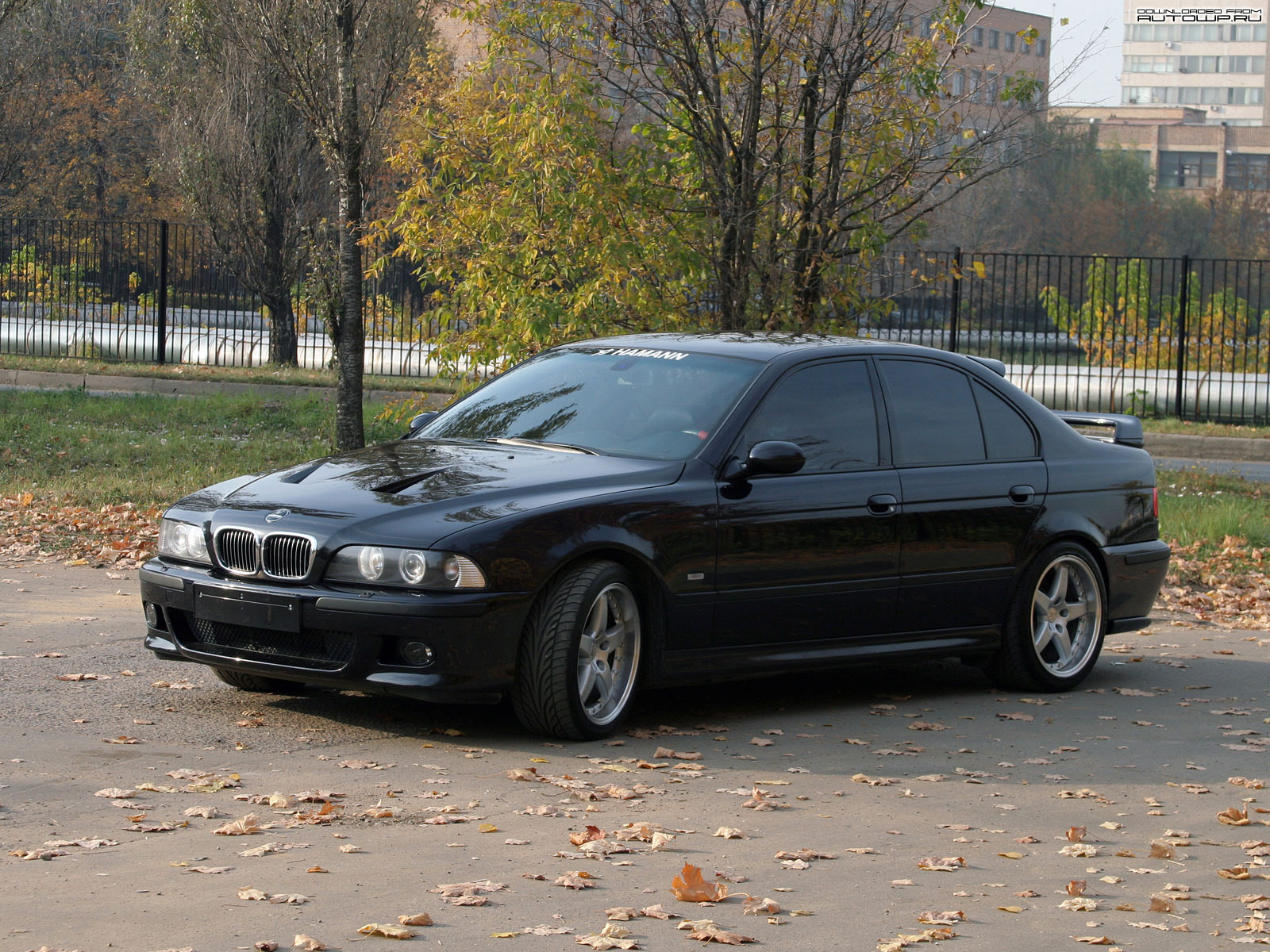 BMW 5 Series e39 Black