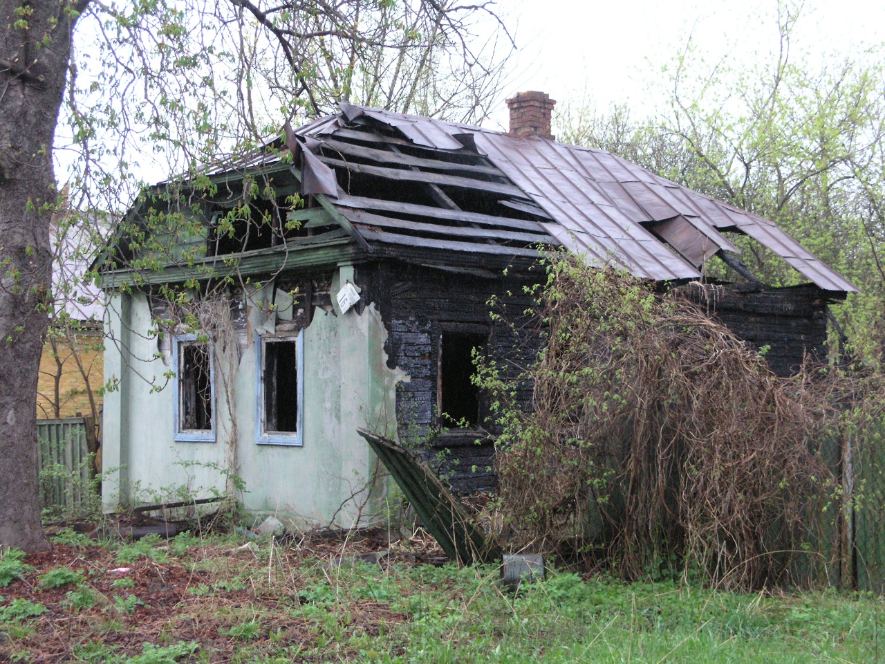Заброшенные деревни в Брянской области в Чернобыльской зоне