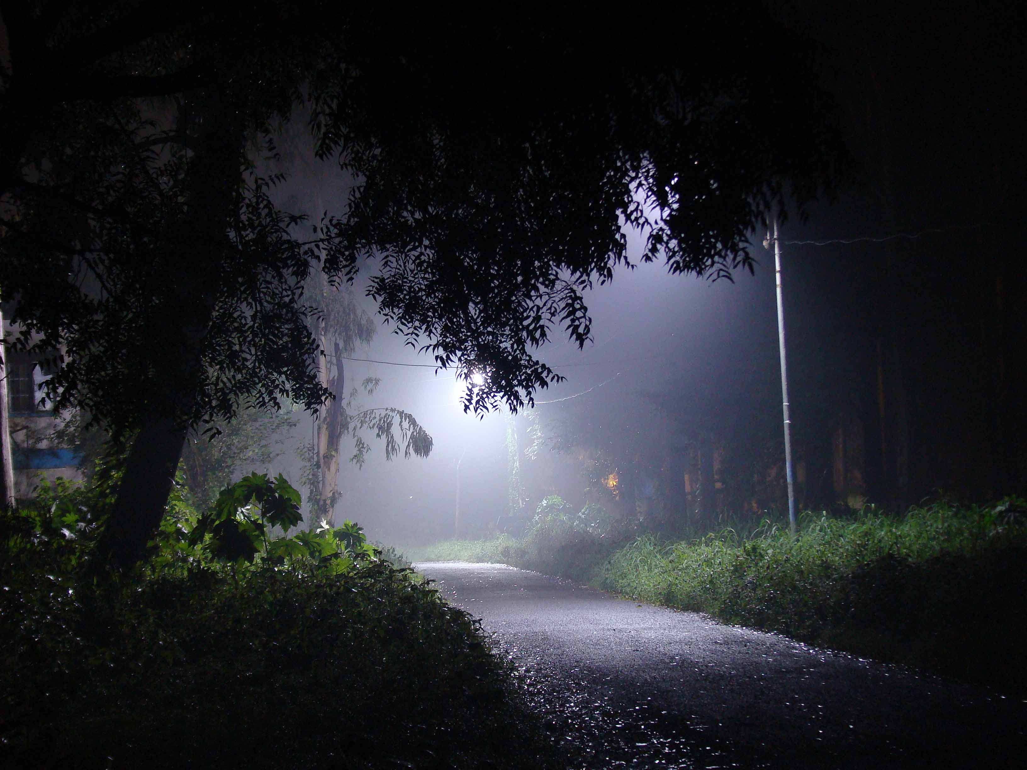 Почему ночью опасно. Ночь прогулка туман. Ночная улица с фонарями. Гулять ночью опасно. Почему ночью опасно ходить по ночному лесу.