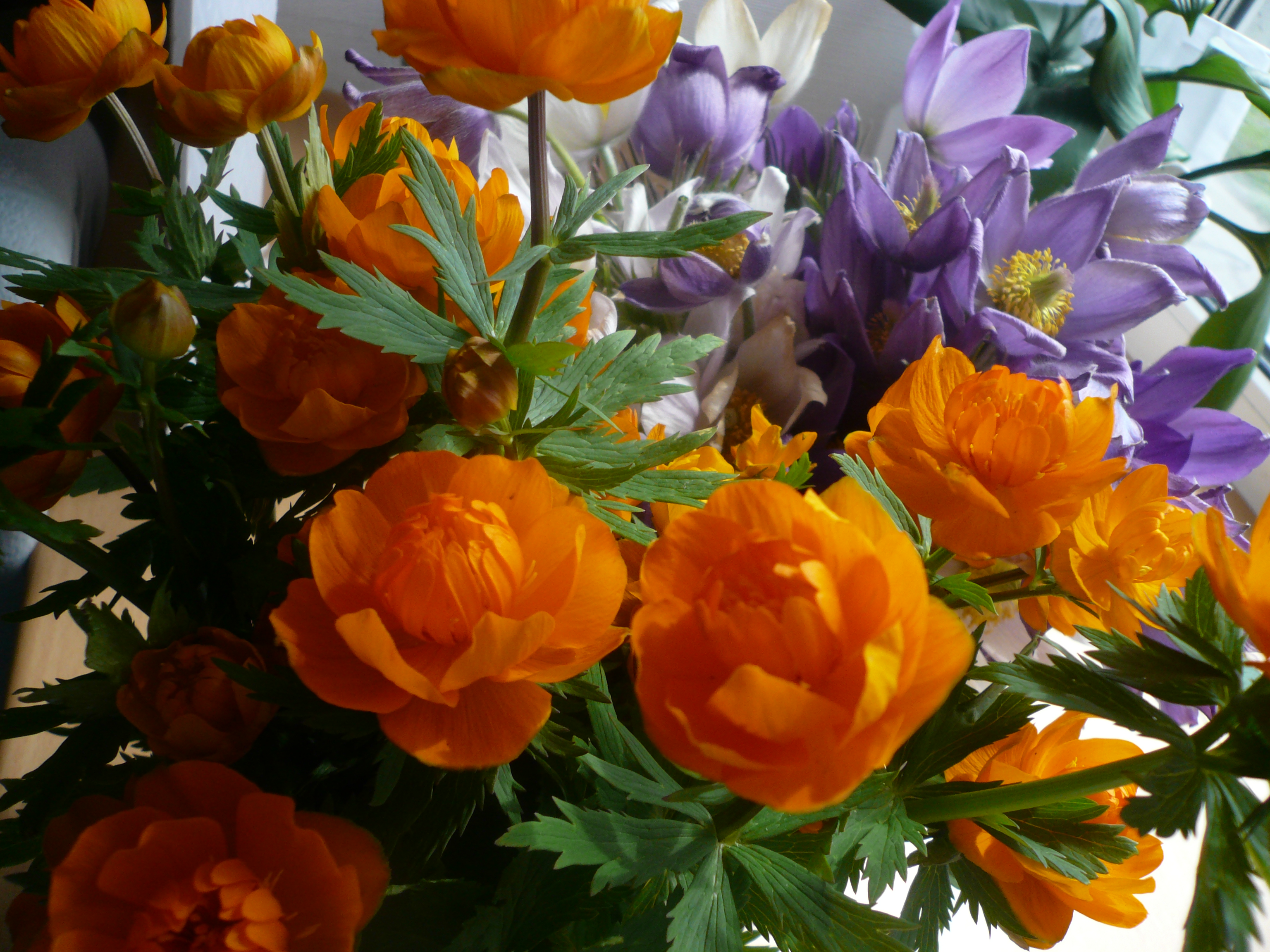 Цветы огоньки Сахалин