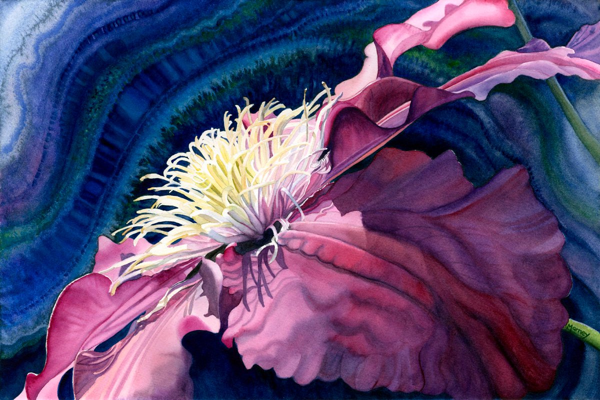 Marney Ward цветы акварелью
