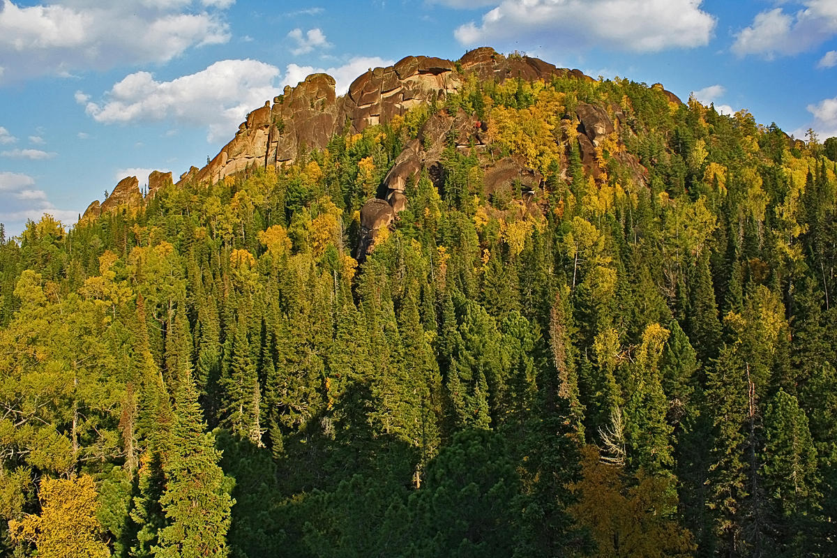 Лес Красноярск Фото