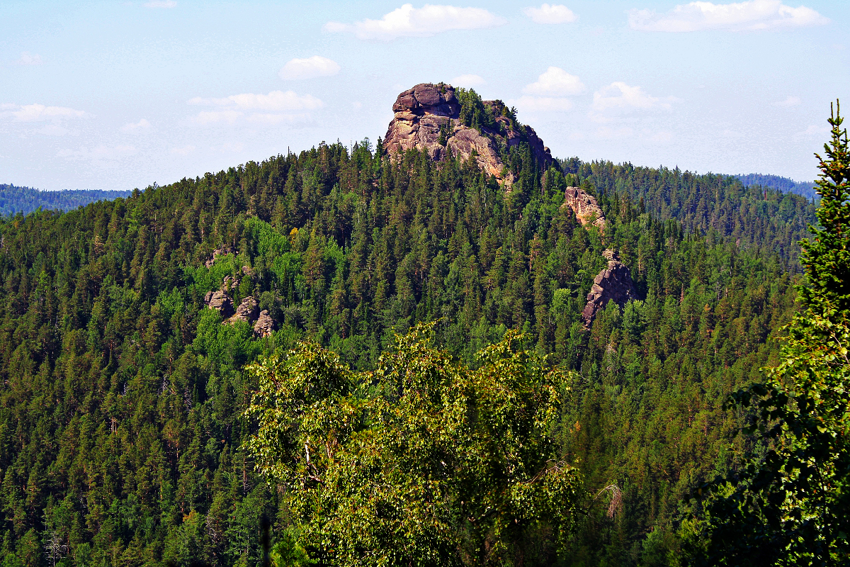 Красноярск край час. Горная Тайга столбы Красноярск. Тайга Красноярск. Красноярские столбы заповедник. Скала Дикарь Красноярские столбы.