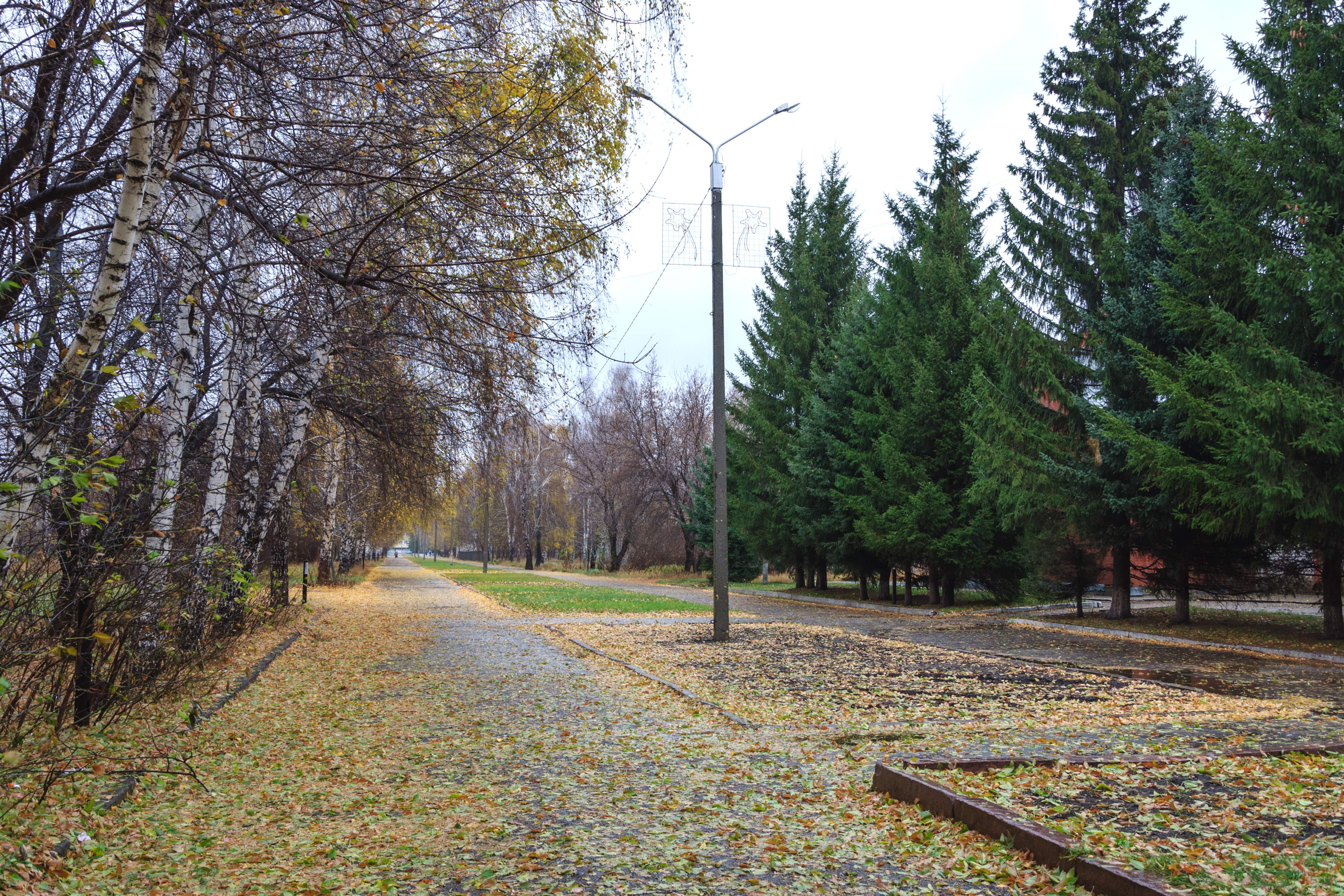 парк меланжевого комбината барнаул