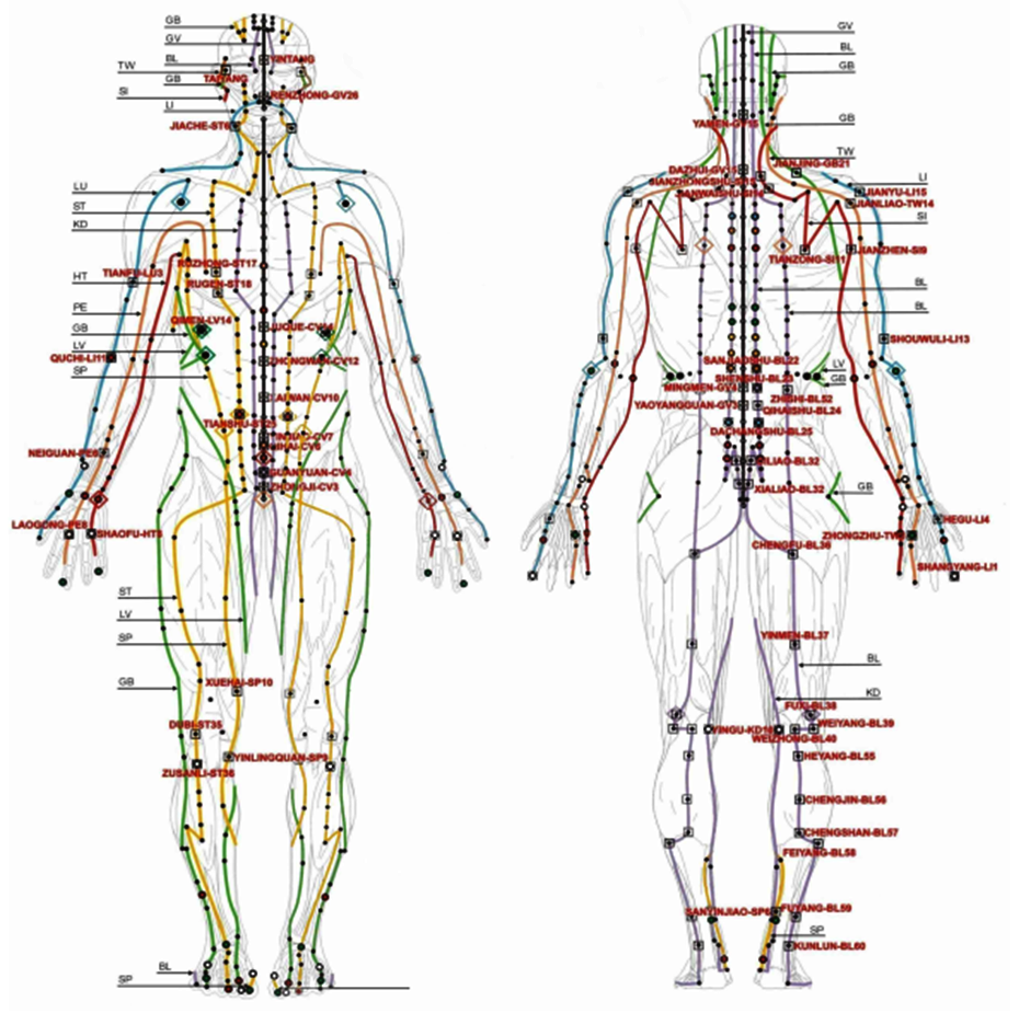 Меридианы человека схема и направления китайская медицина для массажа
