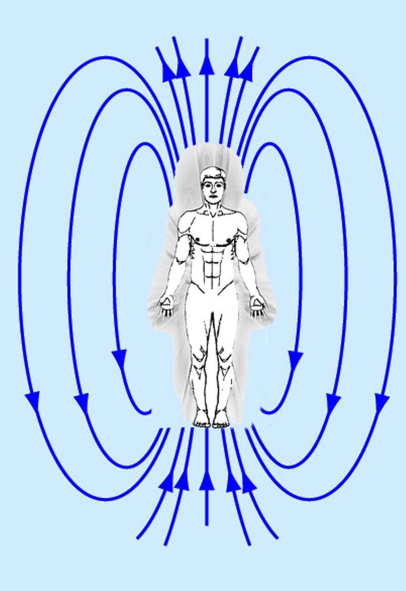 Потоки энергии в теле человека фото