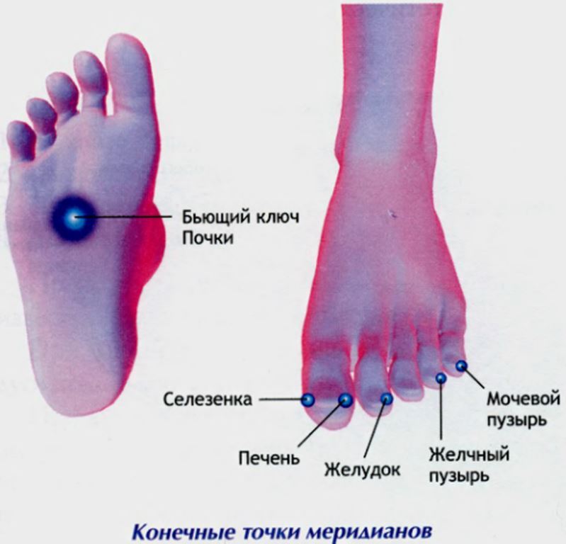 Меридианы на ногах человека схема